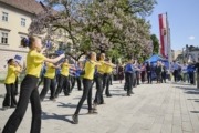 Europatag - eine Gruppe Jugendlicher tanzt einen Tanz